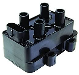  8V 